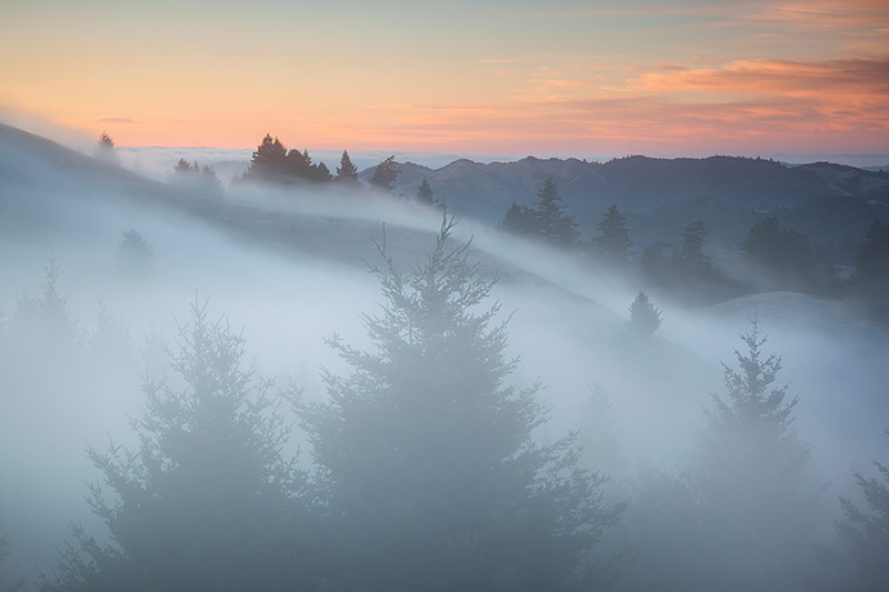 Fog Rolling Over Bolinas Ridge, Mount Tamalpais State Park, California