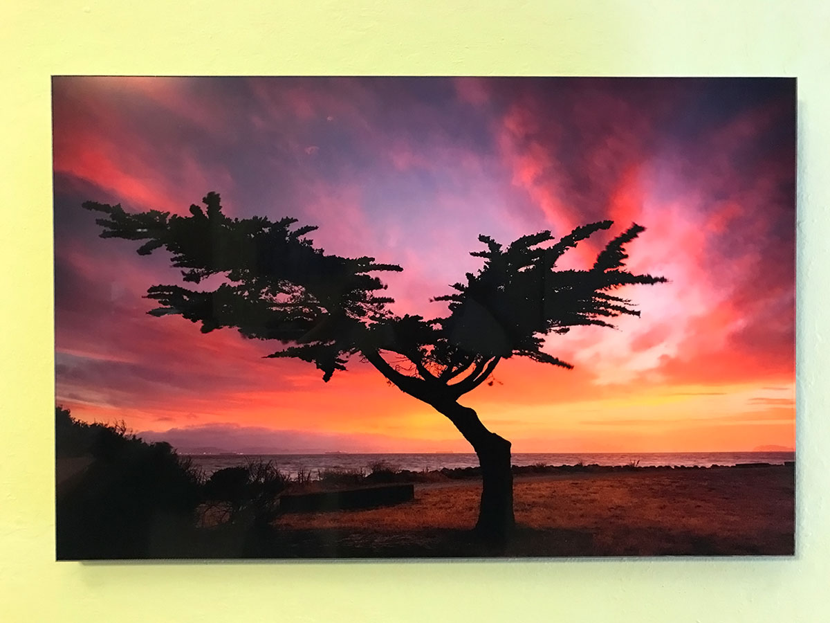 Lumachrome HD Acrylic Prints