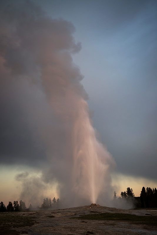 Old Faithful Geyser Erupting at Sunset, Yellowstone National Park, Wyoming