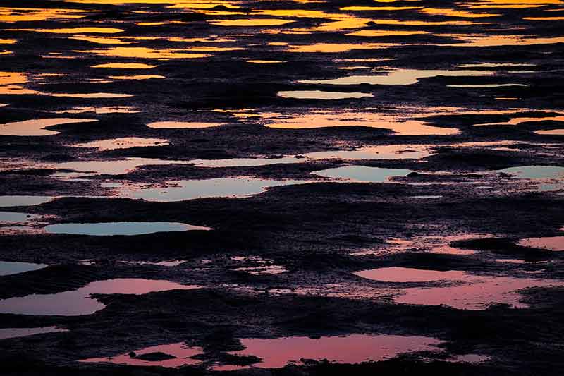 Low Tide Reflections at Robert Crown Memorial State Beach, Alameda, California