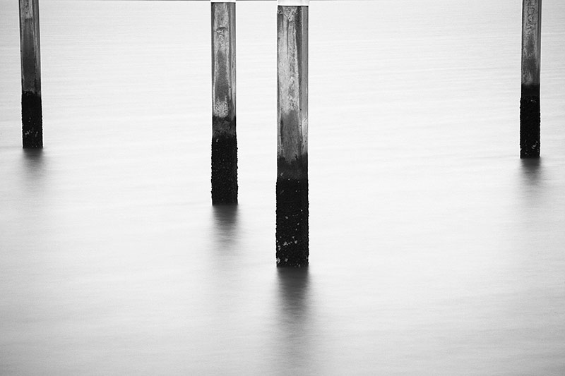 Abandoned Dock Pilings Black and White Photos