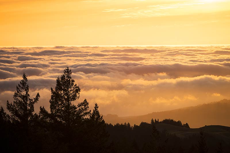 Foggy Sunset in Spring, Mount Tamalpais State Park, California