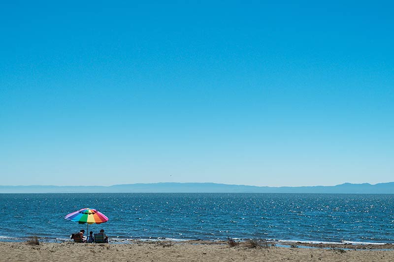 Robert Crown Memorial State Beach on a Clear Sunny Day, Alameda, California