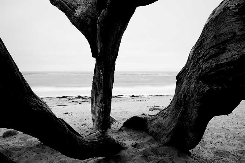 Carmel-by-the-sea Black and White Photos