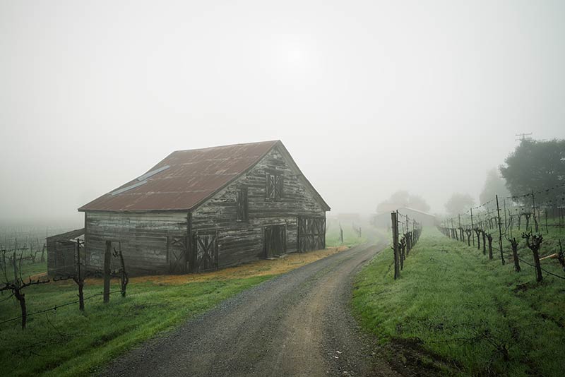 Dry Creek Valley Barn Winter Morning, Sonoma County, California