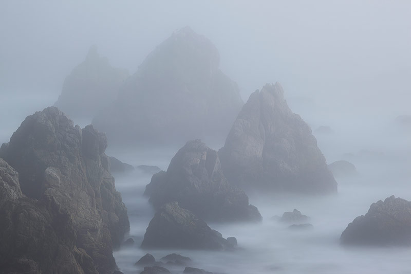 Bodega Head Seastacks in Fog, Sonoma Coast, California