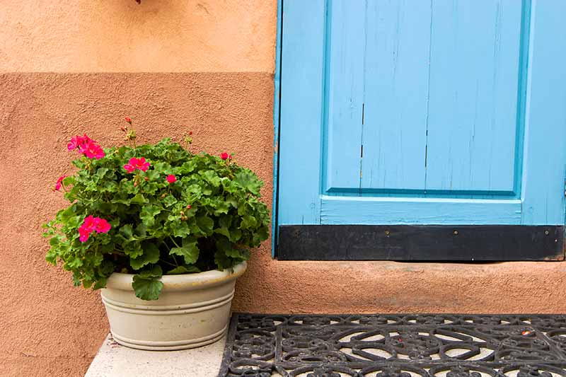 Southwestern Doorway Photos